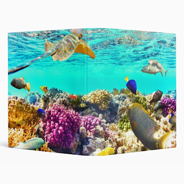 Tropical reef 3 ring binder (Background)