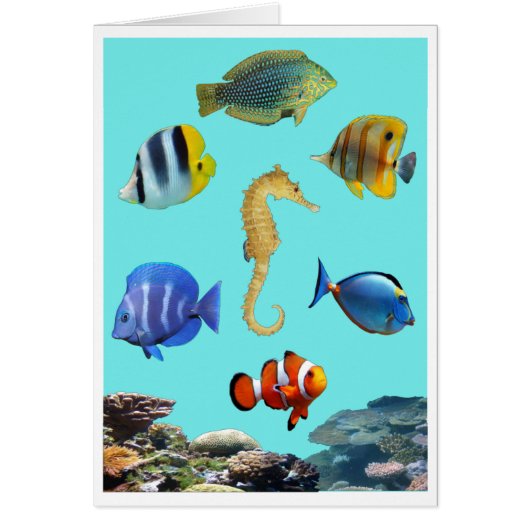 Tropical Reef Card (Front)
