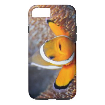 Tropical Reef Fish - Clownfish Iphone 8/7 Case by wildlifecollection at Zazzle