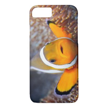 Tropical Reef Fish - Clownfish Iphone 8/7 Case by wildlifecollection at Zazzle