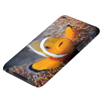 Tropical Reef Fish - Clownfish Ipod Case-mate Case by wildlifecollection at Zazzle