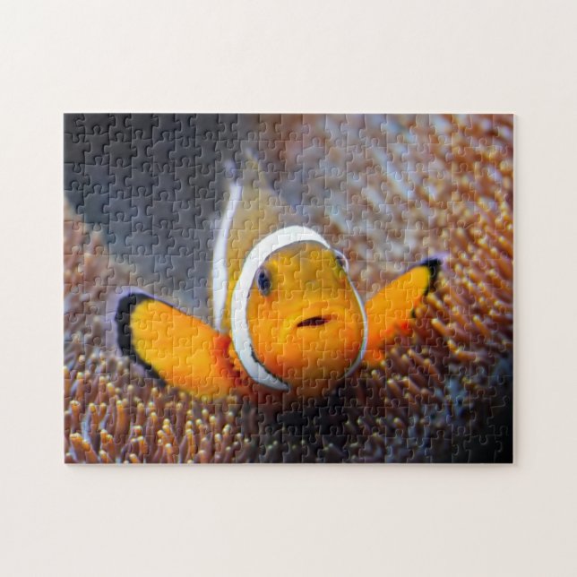 Tropical reef fish - Clownfish Jigsaw Puzzle (Horizontal)