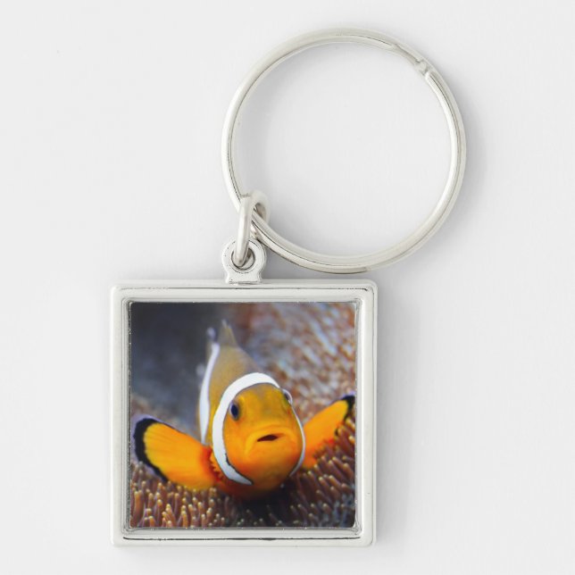 Tropical reef fish - Clownfish Keychain (Front)