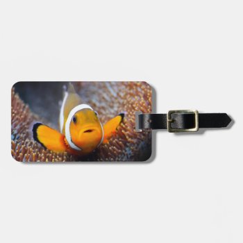 Tropical Reef Fish - Clownfish Luggage Tag by wildlifecollection at Zazzle