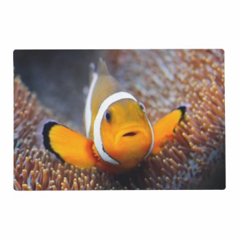Tropical Reef Fish - Clownfish Placemat by wildlifecollection at Zazzle