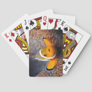 Tropical reef fish - Clownfish Poker Cards