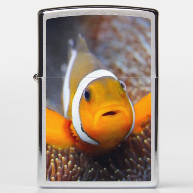 Tropical reef fish - Clownfish Zippo Lighter (Front)