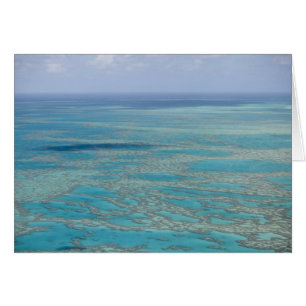 Tropical reef, Great Barrier Reef, Queensland,