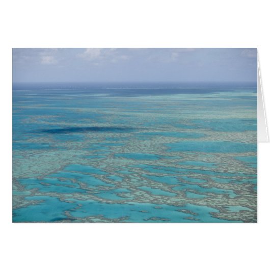 Tropical reef, Great Barrier Reef, Queensland, (Front Horizontal)