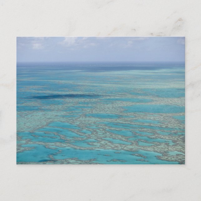 Tropical reef, Great Barrier Reef, Queensland, Postcard (Front)