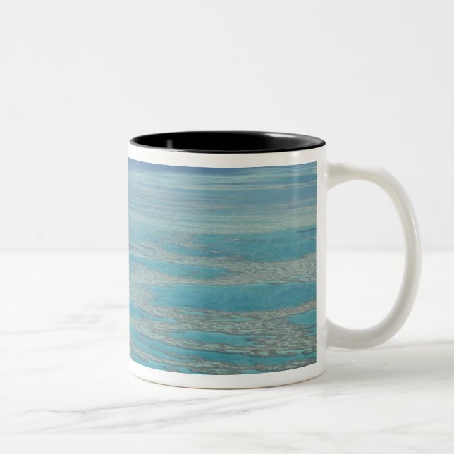 Tropical reef, Great Barrier Reef, Queensland, Two-Tone Coffee Mug (Right)