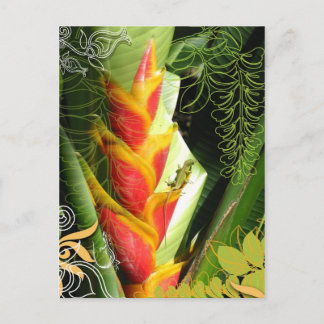 Tropical Salamander Postcard