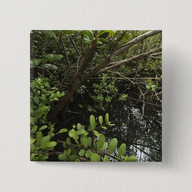 Tropical salt pond button (Front)