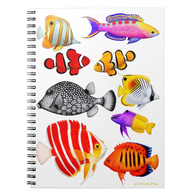 Tropical Saltwater Reef Fish Notebook (Front)