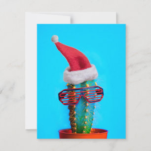 Tropical Santa Cactus