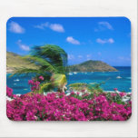 Tropical Scene Mouse Pad<br><div class="desc">Mouse pad shown with a photo print of a beautiful tropical scene.
Customize this item or buy as is.  




Stock Image
all-free-download.com</div>
