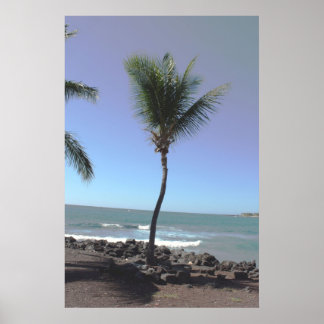 TROPICAL SCENE POSTER