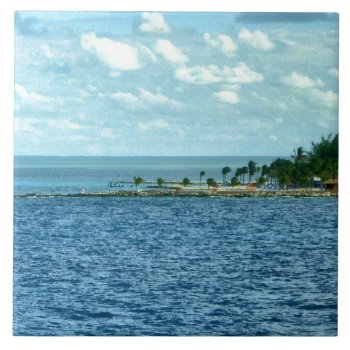 Tropical Scene Tile by h2oWater at Zazzle
