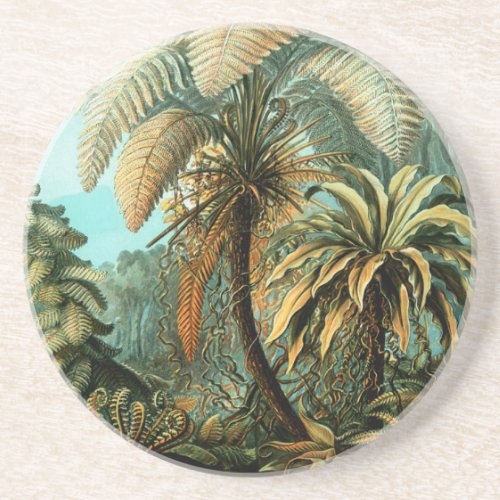 Tropical Scenery  with Palm Tree  Coaster