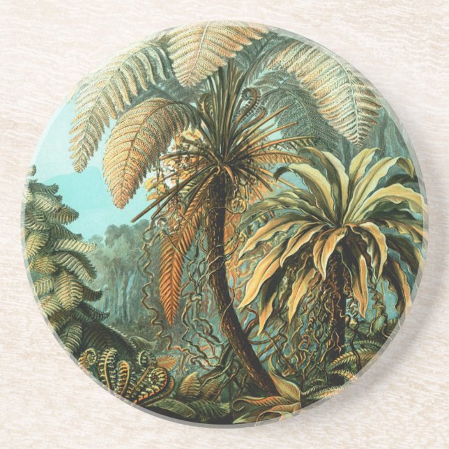 Tropical Scenery  with Palm Tree  Coaster (Front)