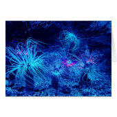 Tropical Sea Anemone (Front Horizontal)