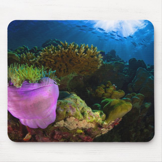 Tropical Sea Coral Mouse Pad (Front)