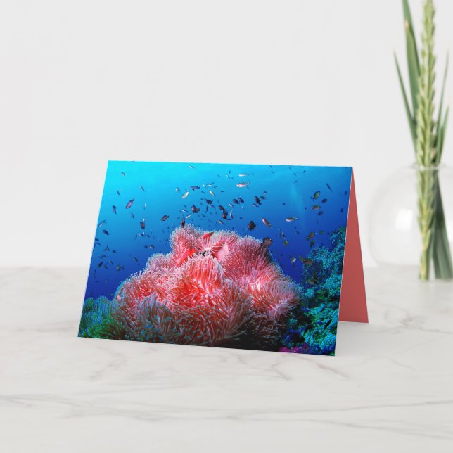 Tropical Sea Life Pink Glowing Anemone Coral Card (Front)