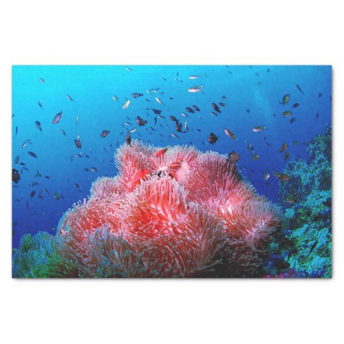Tropical Sea Life Pink Glowing Anemone Coral Tissue Paper