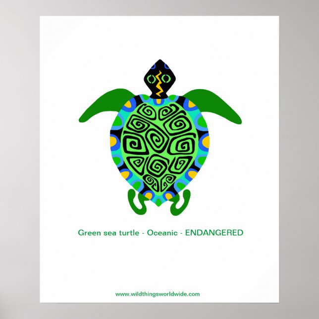 Tropical  Sea TURTLE -Endangered species - poster (Front)
