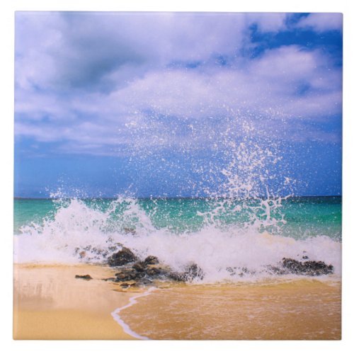 Tropical Sea Wave Splash Ceramic Tile