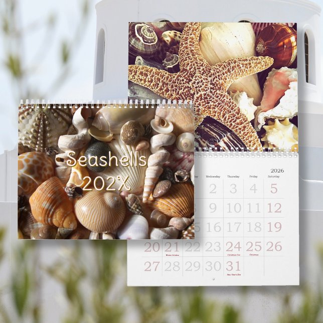 Tropical Seashell Photography Custom Size Calendar (Creator Uploaded)