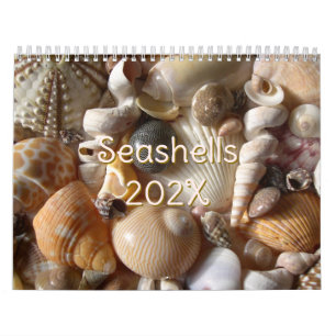 Tropical Seashell Photography Custom Size Calendar
