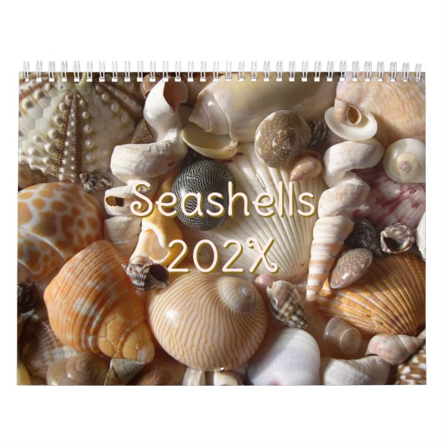 Tropical Seashell Photography Custom Size Calendar (Cover)