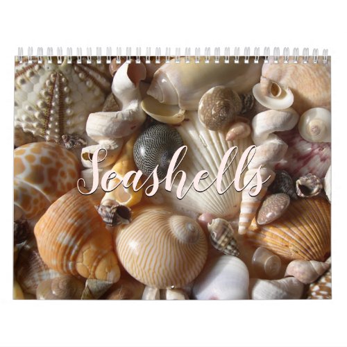 Tropical Seashell Photography Custom Size Calendar
