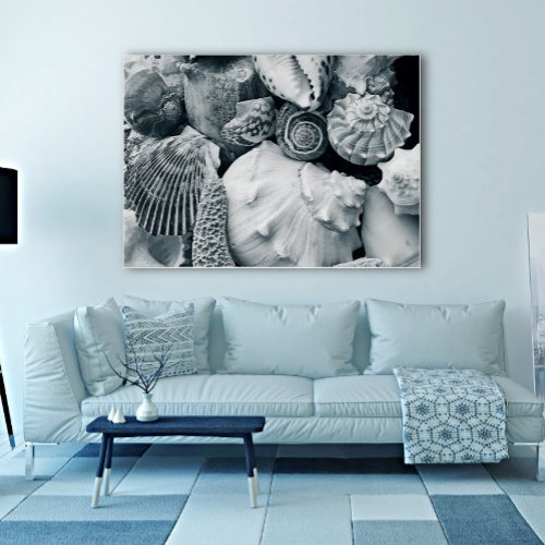Tropical Seashells Black and White Photography Poster
