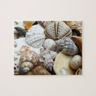 Tropical Seashells Photography Puzzle