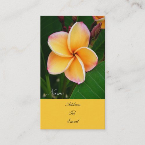 Tropical Senses Business Cards