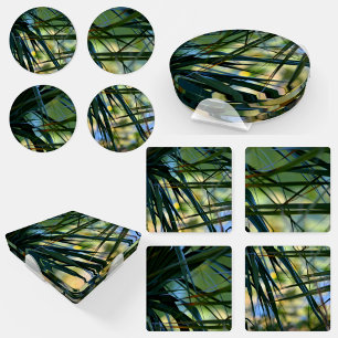 Tropical Shades Palm Fronds Photographic Coaster Set