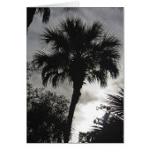 Tropical Silhouette (Front)