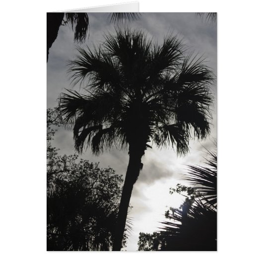 Tropical Silhouette (Front)