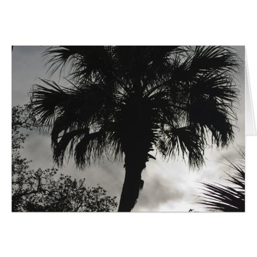 Tropical Silhouette (Front Horizontal)