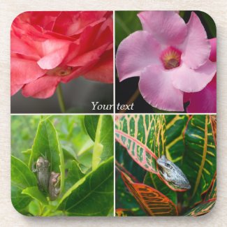 Tropical small tree frogs in flowers and leaves