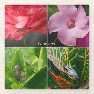 Tropical small tree frogs in flowers and leaves