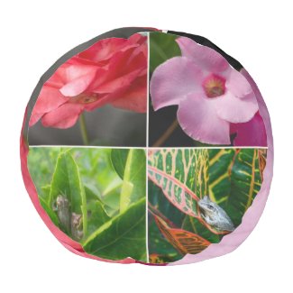 Tropical small tree frogs in flowers and leaves