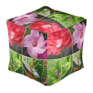 Tropical small tree frogs in flowers and leaves