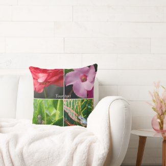 Tropical small tree frogs in flowers and leaves
