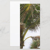Tropical Splendor (Front/Back)