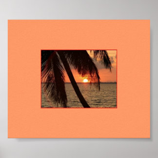 Tropical Splendor Poster