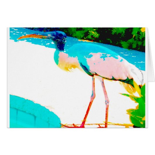 Tropical stork graphic theme cards (Front Horizontal)
