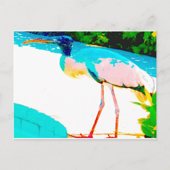 Tropical stork graphic theme postcard (Front)